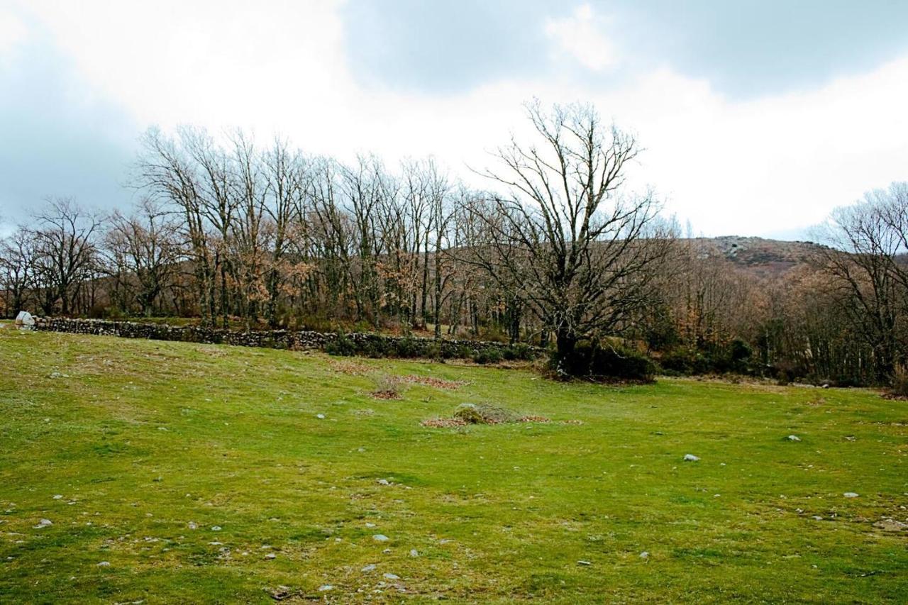 Casa Rural Cristina III San Pablo de los Montes Екстериор снимка